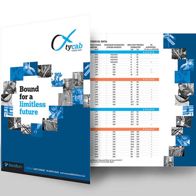 https://www.wysiwyg.co.in/sites/default/files/worksThumb/BlackBurn-Tycab-Brochure.jpg