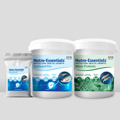https://www.wysiwyg.co.in/sites/default/files/worksThumb/IFB-Agro-NE-EcoGuard-Pro-Water-Probiotic-Labels-Aug-2024.jpg