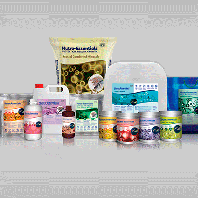 https://www.wysiwyg.co.in/sites/default/files/worksThumb/IFB-Agro-Nutraessentials-Packaging-Web-Brochure-POS-2023.gif