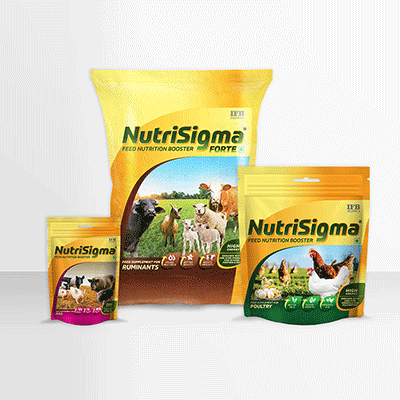 https://www.wysiwyg.co.in/sites/default/files/worksThumb/IFB-Agro-Nutrisigma-Pig-Poutry-Ruminant-Leaftlet-POS-Web-Jan-2024.gif